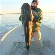 Capacitacion, formacion y clases de apoyo en Autocad, Dibujo Tecnico, Lenguaje Tecnologico y Solid Edge ( Siemens )